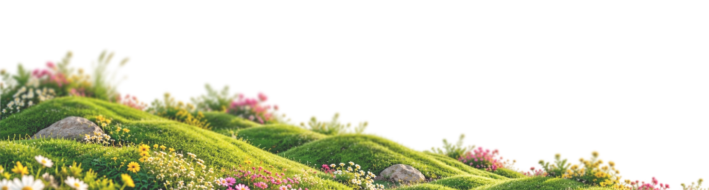 Plants