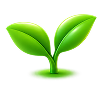 Grow